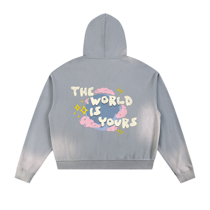 1.o.K BLVE "TWIY" Sun Fade Zip Hoodie